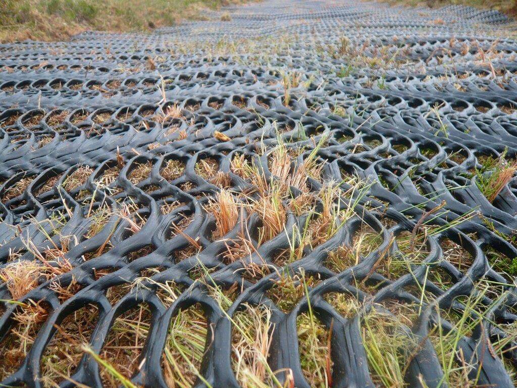 What Is Moorland Mesh?
