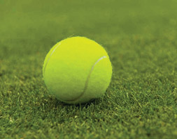 Grass Seeds